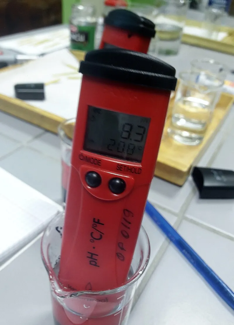 The pH Fairy Tale: What Biochemistry Says About Alkaline Water's Big Promise