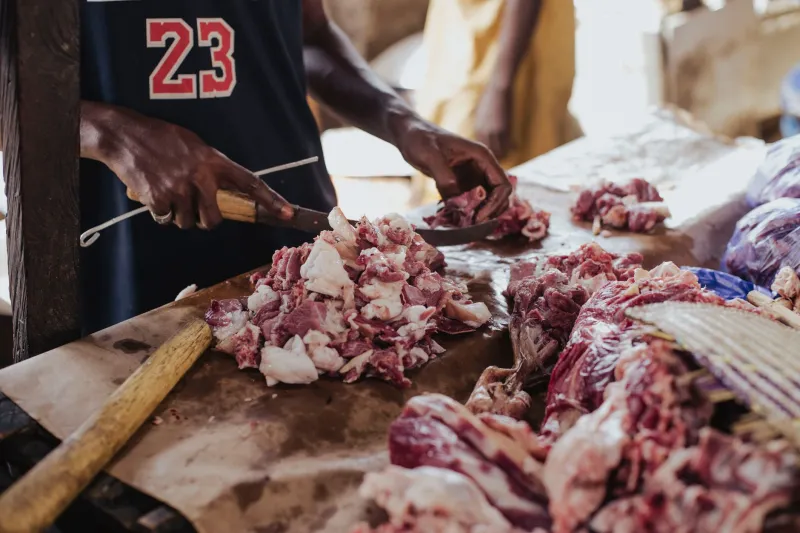 Meat-Only and the Science Gap: Evaluating the Carnivore Diet Beyond the Hype