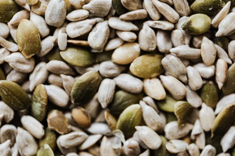 Can Seeds Regulate Your Hormones? Endocrinology Examines the Seed Cycling Trend